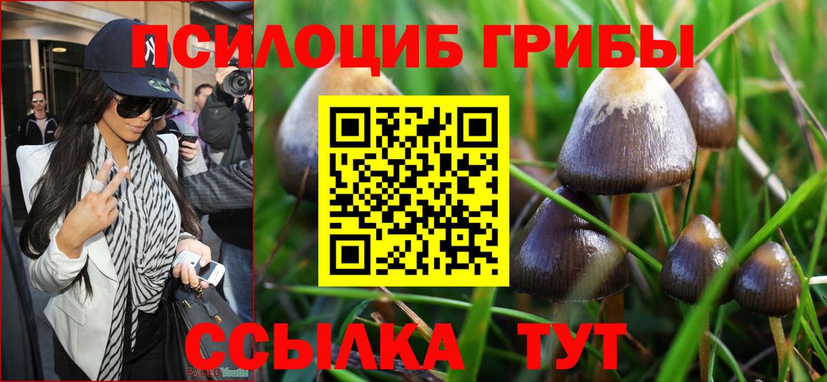 Галлюциногенные грибы мухоморы Алушта