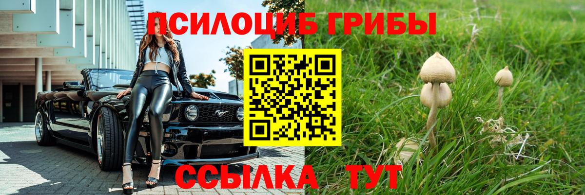 Алушта  Псилоцибиновые грибы MAGIC MUSHROOMS  Вход с VPN  Галлюциногенные грибы Psilocybe 